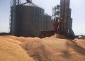 هشت سیلوی گندم خوزستان در حال ساخت است