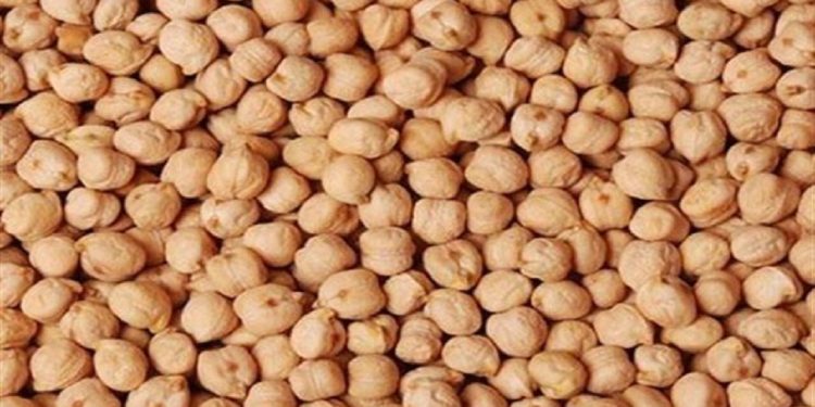 پیش بینی برداشت بیش از ۶ هزار تن نخود در هشترود