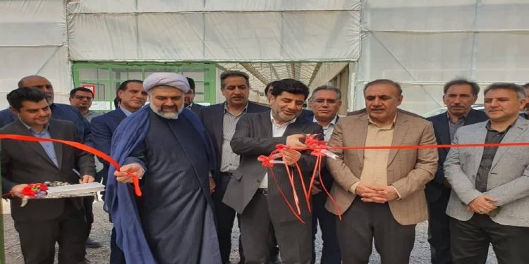 اولویت وزارت جهاد کشاورزی توسعه گلخانهها است