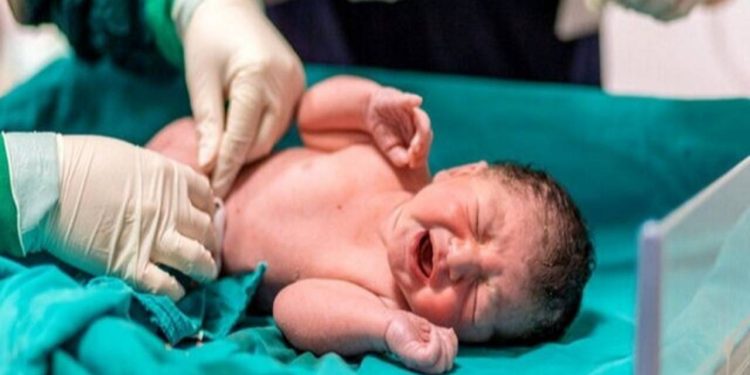 ثبت ۲۰ هزار واقعه ولادت در کردستان