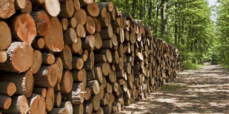 کشف ۳۳ تن چوب قاچاق درآستارا