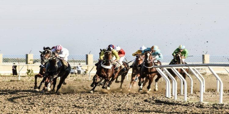 رقابتهای روز نخست از هفته اول مسابقات اسبدوانی فصل تابستان ۱۴۰۴ آققلا جمعه ۷ شهریور از ساعت ۱۴ در مجموعه سوارکاری این شهرستان برگزار میشود.