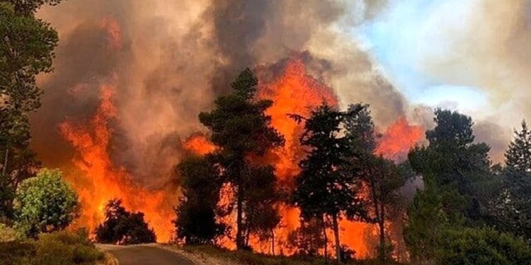 طبیعت لرستان در محاصره آتش‌های دنباله دار؛ جنگ با شعله‌ها ادامه دارد