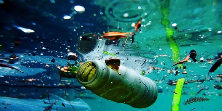 از تخریب جنگل تا آلودگی رودها؛ لرستان بی‌پناه در برابر بحران زیست‌محیطی