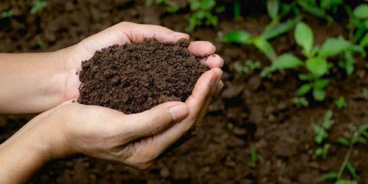 آموزش شهروندی و آشنایی کودکان با مدیریت پسماند