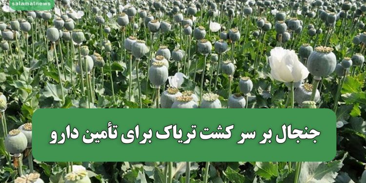جنجال بر سر کشت تریاک برای تأمین دارو