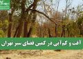 آفت و کم‌آبی در کمین فضای سبز تهران