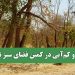 آفت و کم‌آبی در کمین فضای سبز تهران