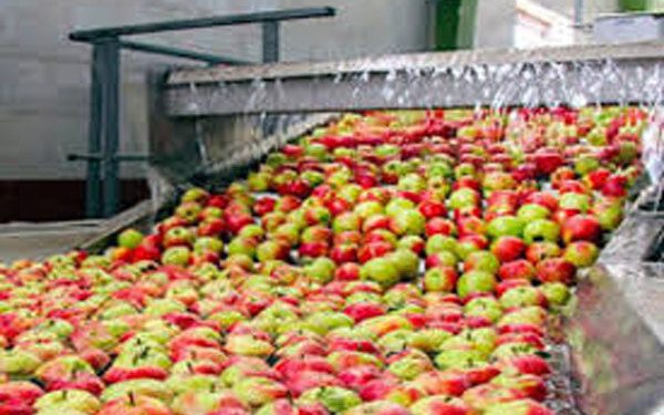 شهرک صنایع غذایی در ایجرود ایجاد می‌شود