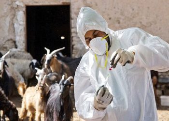 تحولی جدید در علوم دامپزشکی کشور