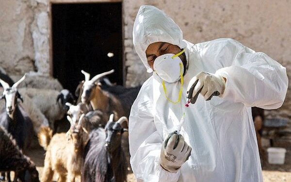 تحولی جدید در علوم دامپزشکی کشور