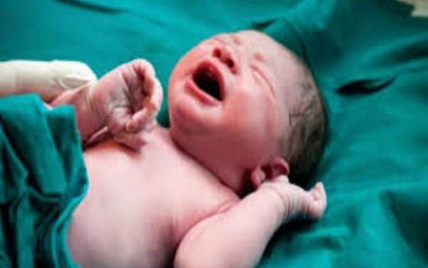 اردبیل به قطب درمان نازایی در شمال‌غرب کشور تبدیل می‌شود