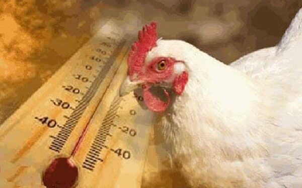 روند افزایش دمای هوای آذربایجان شرقی مجددا شروع شده است