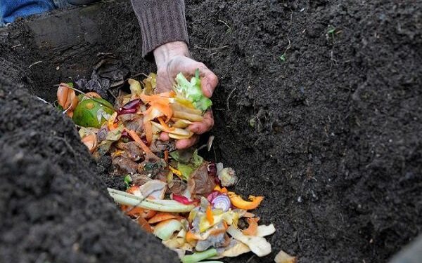 مدیریت پسماند زنجان مناسب نیست