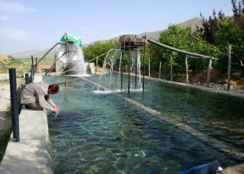 افتتاح سه طرح شیلاتی در استان کرمانشاه با اعتبار ۴۷۵ میلیارد ریال