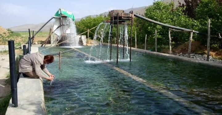 افتتاح سه طرح شیلاتی در استان کرمانشاه با اعتبار ۴۷۵ میلیارد ریال