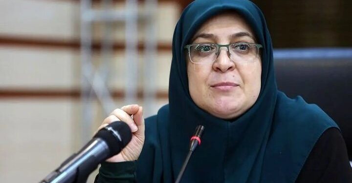 مهاجرانی: دولت و بخش خصوصی فهم و زبان مشترک ندارند