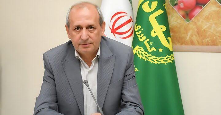 کشت برنج در ۸۸۶۰ هکتار از اراضی کشاورزی آذربایجانشرقی