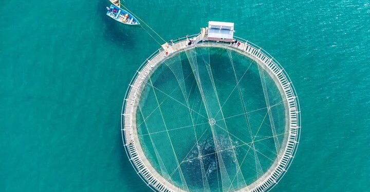 افتتاح فاز اول طرح پرورش ماهی در قفس ۵۰۰ تنی شهرستان سیریک