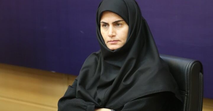 رایزنی‌ برای برقراری پرواز در مسیرهای کیش، نجف و ترکیه