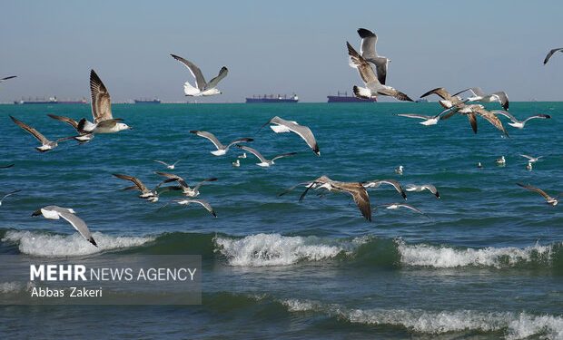هشدار افزایش ارتفاع موج در دریای خزر و احتمال خطر غرق‌شدن شناگران