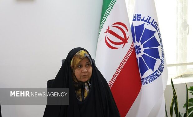 فعالان بخش خصوصی خوزستان با وزیر اقتصاد دیدار میکنند