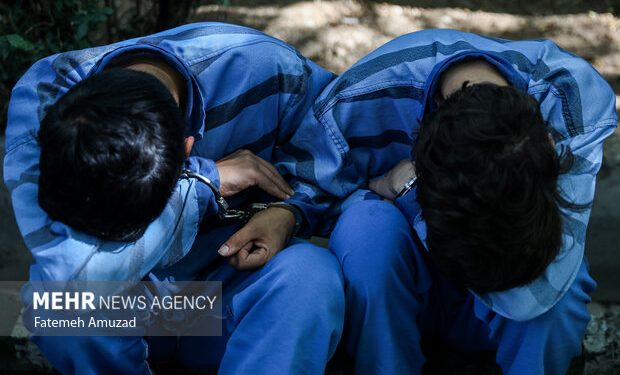 دستگیری دزدان بلوار چمران شیراز با ۳۳ فقره سرقت