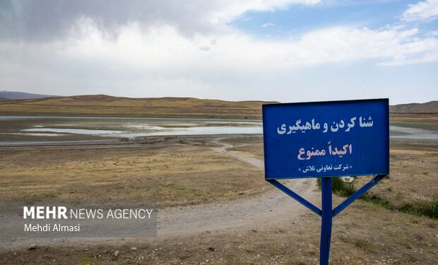 خشکی دریاچه پری (خندقلو ) حیات وحش زنجان را تهدید می‌کند