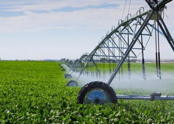 فاصله سیاست‌ها و برنامه‌ها؛ از آب تا امنیت غذایی