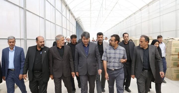 تغییر الگوی کشت راهبرد کلیدی نجات بخش کشاورزی کرمان است