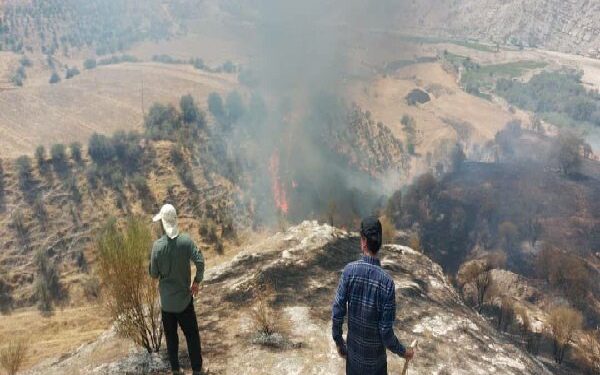 آتش سوزی روستای بی بی زلیخایی در کهگیلویه مهار شد