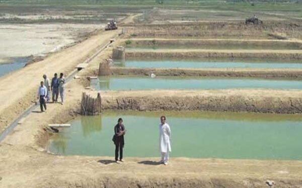 افتتاح دو مزرعه پرورش ماهیان سردآبی در مشگینشهر