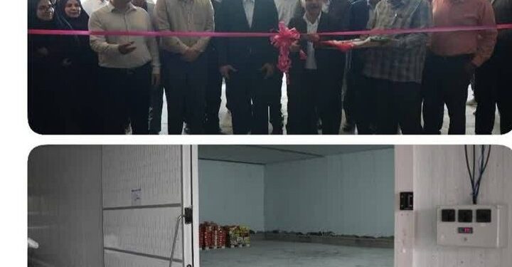 مجتمع بسته‌بندی و فرآوری  خرما در دشتستان به بهره‌برداری رسید