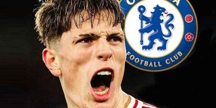 ستاره قرمزها به آبیهای پایتخت پیوست