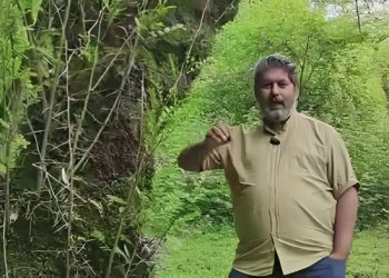 احیا کننده گونه های بومی ایران: مرثیه رویشگاه های کشور خوانده شد | از مرگ چنارهای تهران تا گسترش بیابان‌های ايران