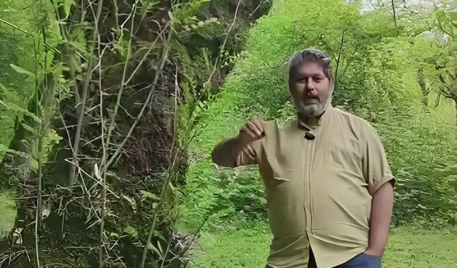 احیا کننده گونه های بومی ایران: مرثیه رویشگاه های کشور خوانده شد | از مرگ چنارهای تهران تا گسترش بیابان‌های ايران