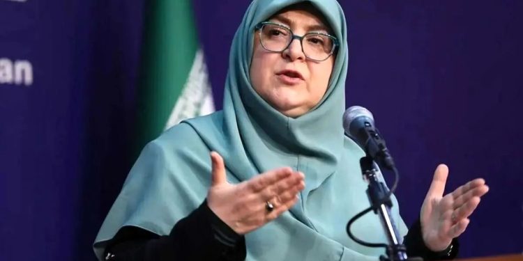 سخنگوی دولت درباره لغو کنسرت همایون شجریان: با توجه به احتمال استقبال وسیع مردم، برخی دستگاه‌ها ملاحظاتی داشتند