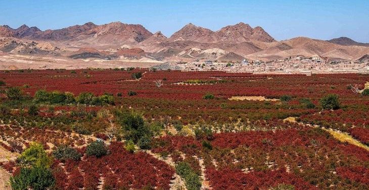 خراسان جنوبی، قطب کشاورزی نوین ایران