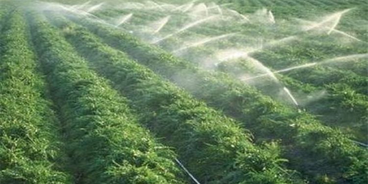 رشد سه میلیارد دلاری تراز تجاری کشاورزی کشور