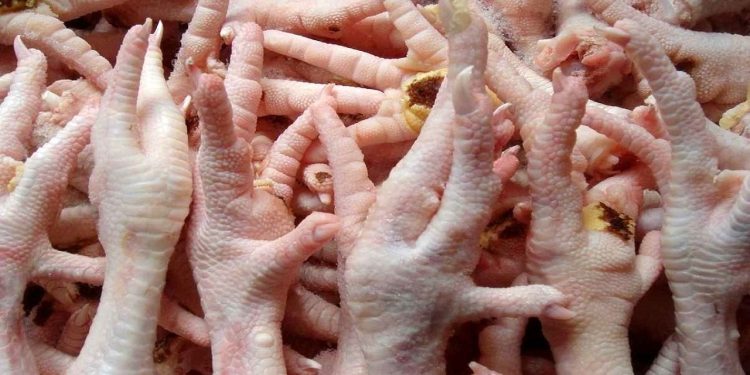 وزیر جهادکشاورزی، اعلام کرد که مذاکرات با چین برای صادرات پای مرغ میتواند سالانه نیم میلیارد دلار درآمد ارزی برای کشور به ارمغان بیاورد.