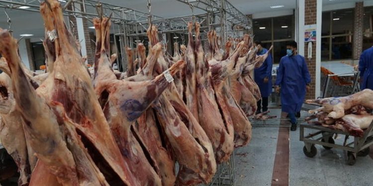 افزایش ۱۱ درصدی کشتار دام در خراسان جنوبی