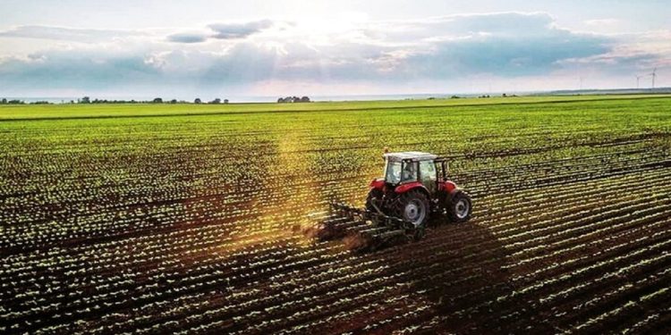 رشد ۵.۶ درصدی بخش کشاورزی کشور