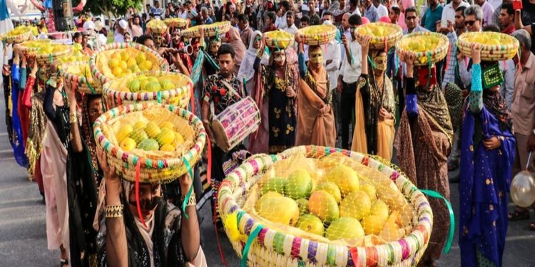 جشنواره انبه و یاسمین گل در میناب