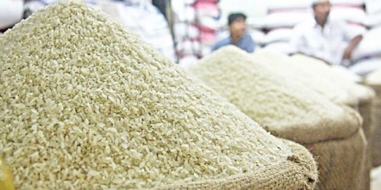 ممنوعیت واردات برنج در ایام برداشت