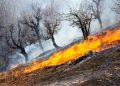 آتشسوزیهای لرستان؛ کاهش خسارت اما زخمهای عمیق بر طبیعت