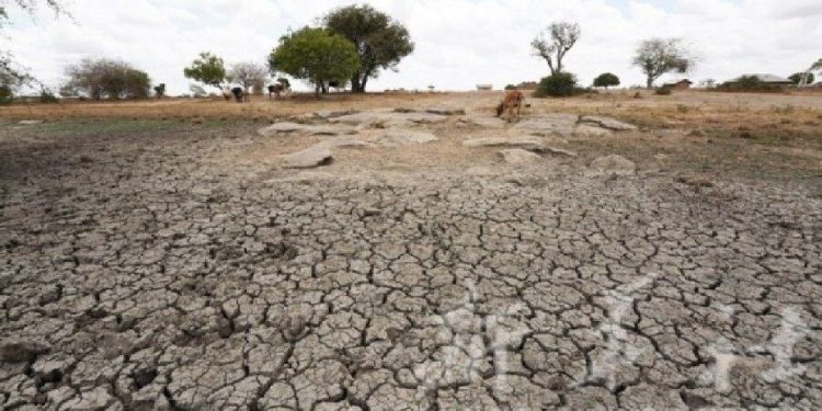 ایلام گرفتار خشکسالی؛ کشاورزی و منابع طبیعی در آستانه بحران
