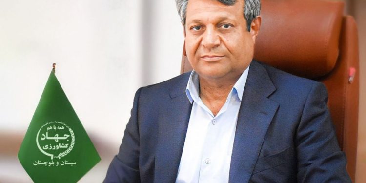 سیستان و بلوچستان؛ رتبه اول کشوری در تخصیص اعتبارات پرواربندی