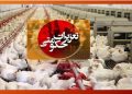 تشکیل ۴۶ میلیارد ریال پرونده تخلف برای ۷ واحد مرغداری در نکا