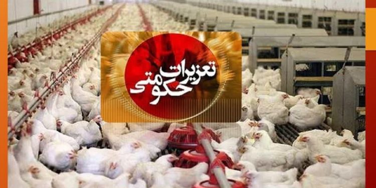 تشکیل ۴۶ میلیارد ریال پرونده تخلف برای ۷ واحد مرغداری در نکا