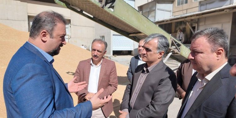 تأکید بر ضرورت نگاه ویژه به تعاونیهای کردستان